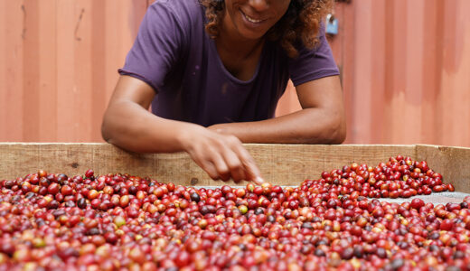 1月9日「ジャマイカ　ブルーマウンテンコーヒーの日」は、勝利を願って！
