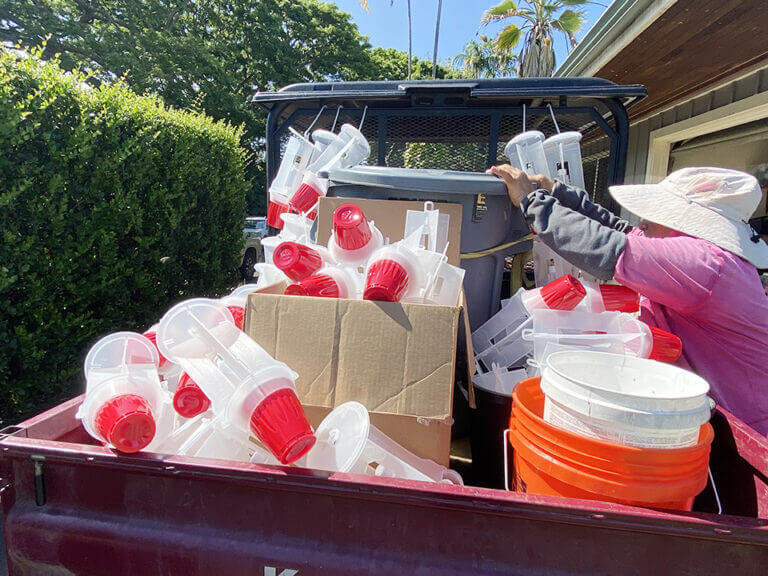 コーヒーの害虫CBBのトラップ活用 －UCCハワイコーヒー農園からー コーヒーと、暮らそう。 UCC COFFEE MAGAZINE