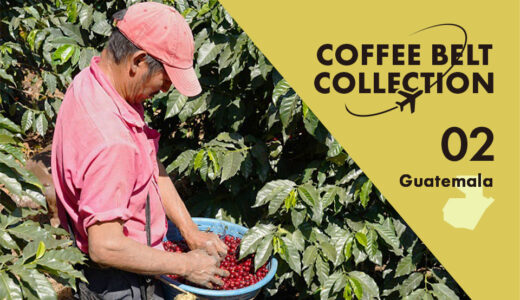 8つの主要産地で味わう個性「グアテマラ」 −コーヒーベルト・コレクション−　