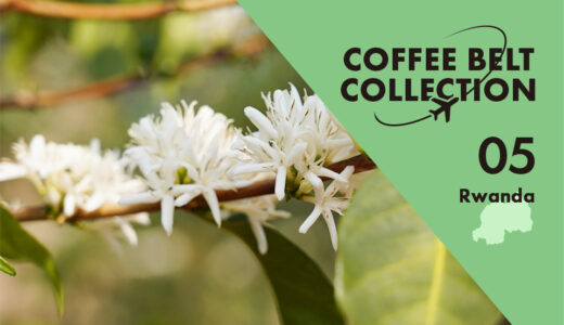 高品質な伝統のブルボン種「ルワンダ」−コーヒーベルト・コレクション−　