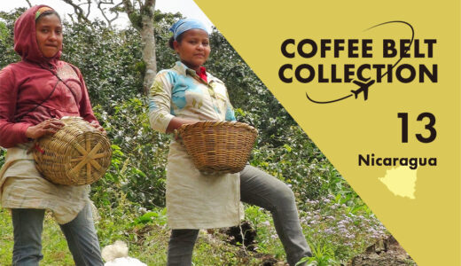 将来性に期待が集まる「ニカラグア」−コーヒーベルト・コレクション−
