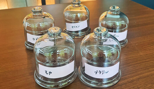 香りが教えてくれる、コーヒーの世界【教えて、コーヒーアカデミー！】