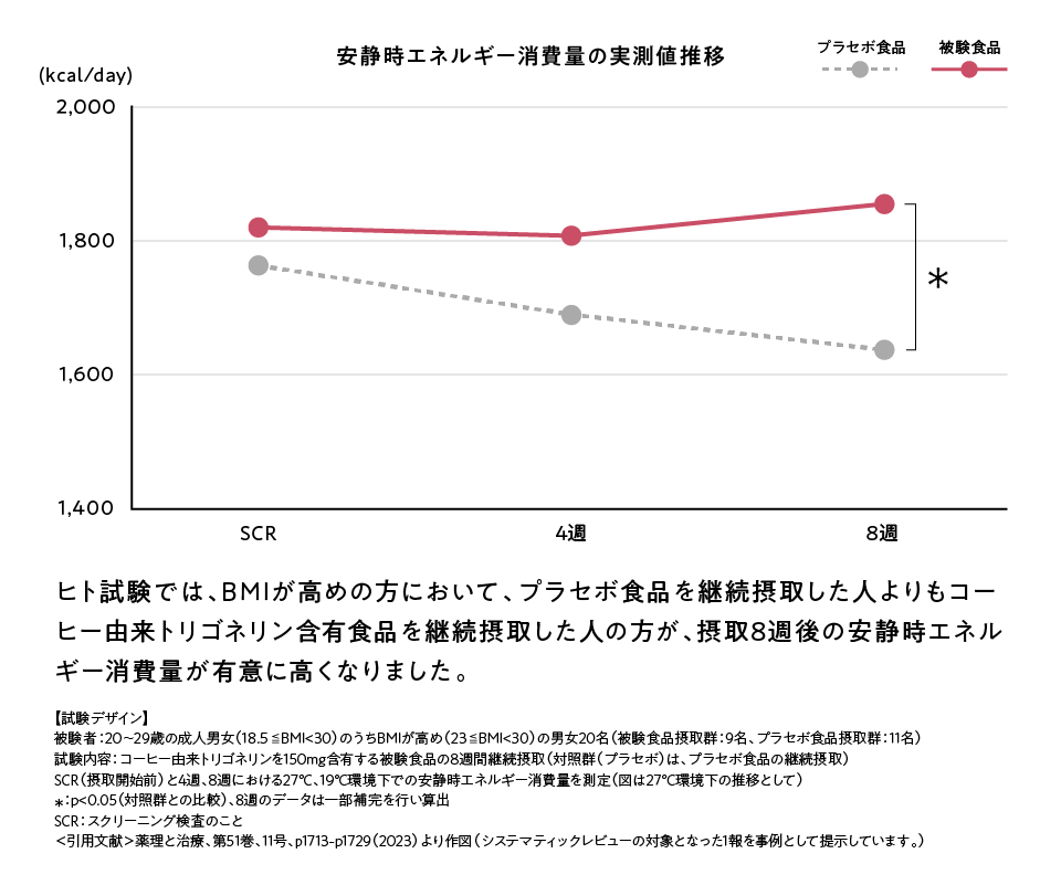 安静時エネルギー消費量の実測値推移の図

ヒト試験では、BMIが高めの方において、プラセボ食品を継続摂取した人よりもコーヒー由来トリゴネリン含有食品を継続摂取した人の方が、摂取8週後の安静時エネルギー消費量が有意に高くなりました。

【試験デザイン】
被験者：20～29歳の成人男女（18.5≦BMI<30）のうちBMIが高め（23≦BMI<30）の男女20名（被験食品摂取群：9名、プラセボ食品摂取群：11名）
試験内容：コーヒー由来トリゴネリンを150mg含有する被験食品の8週間継続摂取（対照群（プラセボ）は、プラセボ食品の継続摂取）
SCR（摂取開始前）と4週、8週における27C、19C環境下での安静時エネルギー消費量を測定（図は27°C環境下の推移として）
＊：p<0.05（対照群との比較）、8週のデータは一部補完を行い算出
SCR：スクリーニング検査のこと
＜引用文献＞薬理と治療、第51巻、11号、p1713-p1729（2023）より作図（システマティックレビューの対象となった1報を事例として提示しています。）
